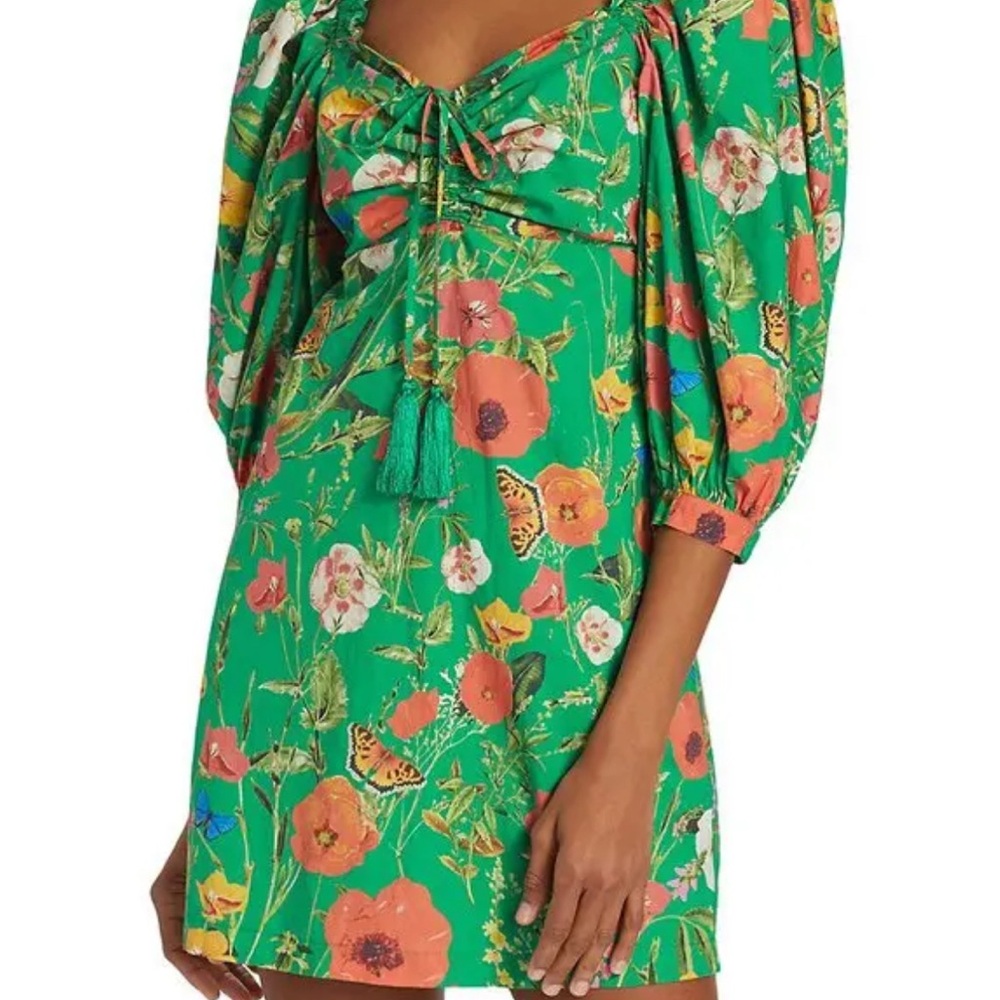 Cara Cara Erin Green Butterfly Teal Floral Dress